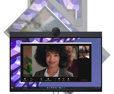 MONITOR DELL P2424HEB